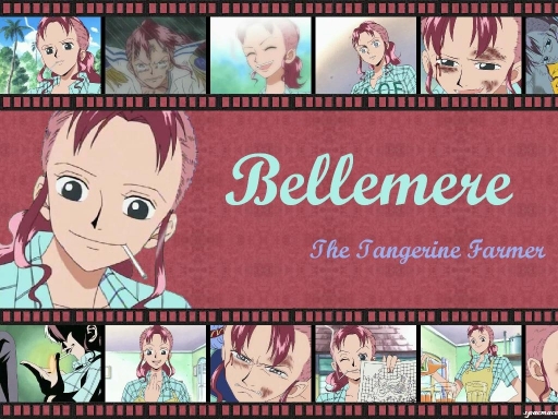 Bellemere Film Wall