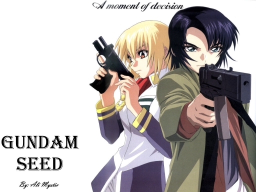 Gundam Seed 5