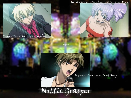 Nittle Grasper