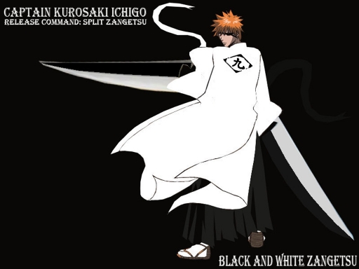 Bleach