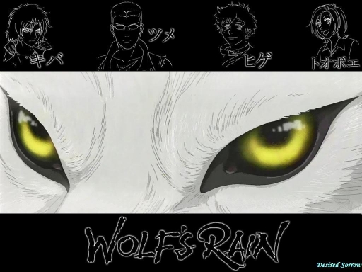 Wolf Eyes