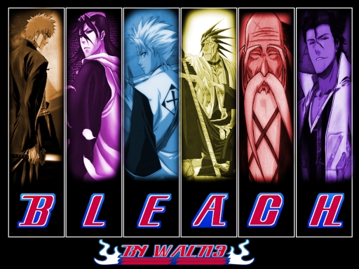 Bleach