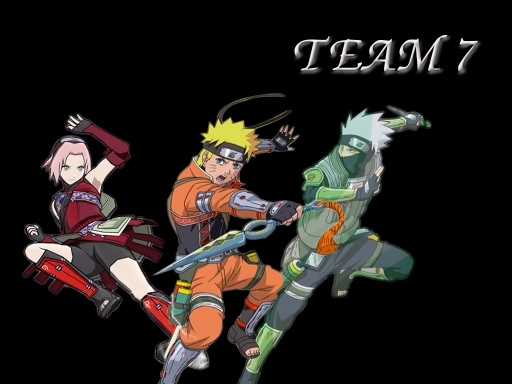 TEAM 7