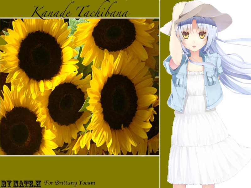 Kanade Tachibana Sunflowers