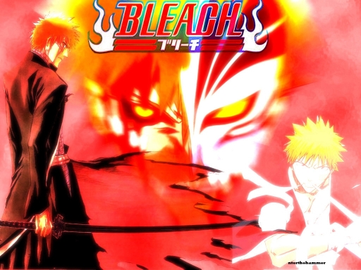 Bleach2