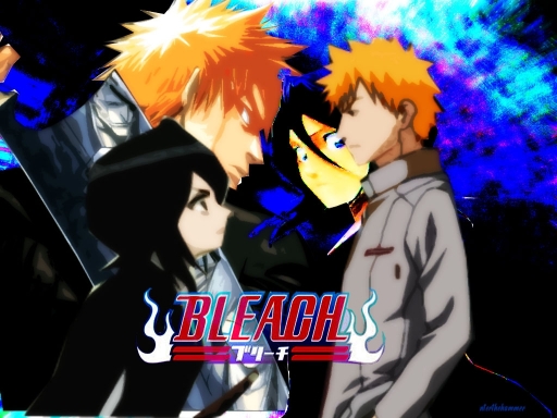 Bleach 5