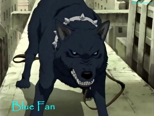 Blue Fan