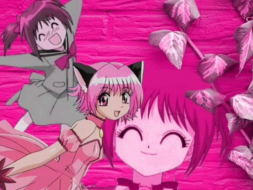 Tokyo Mew Mew