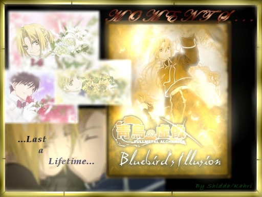 Illusion Of The Bluebird Fma-m