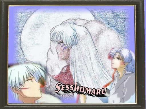 Sesshomaru in The Moonlight