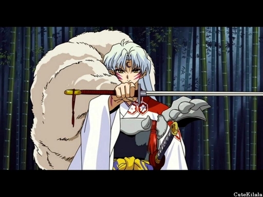 Sesshomaru 2