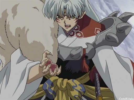 Sesshomaru in Pain