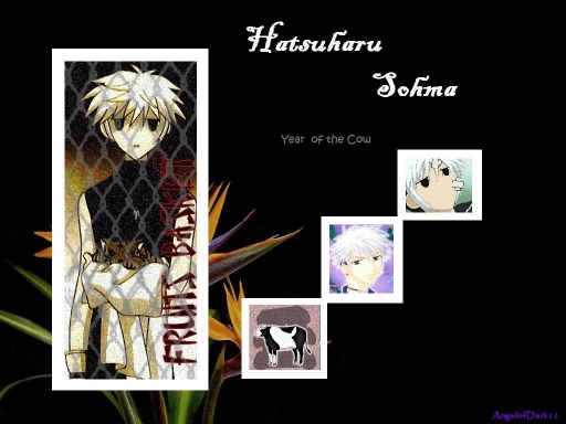 Hatsuharu Sohma: Year Of The C