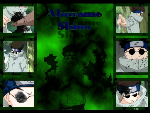 Shino