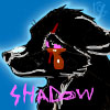 Shadow Wolf17's Avatar