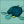 turtle chris