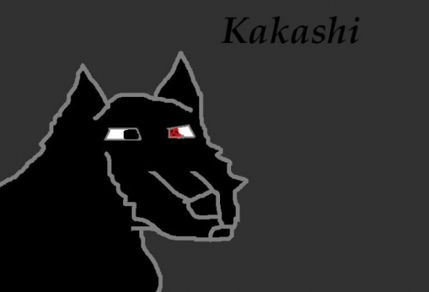Kakashi Wolf