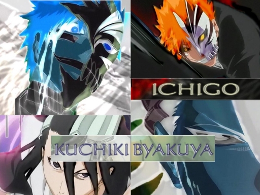 Hollow Ichigo / Byakuya