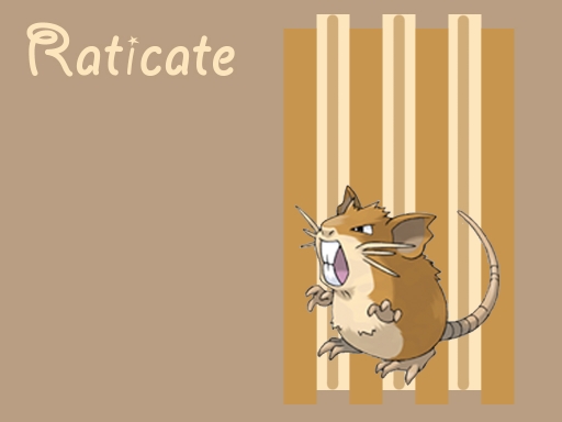 Raticate